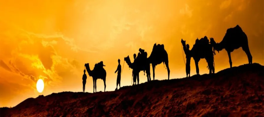 Private One Hour Camel Trekking-7